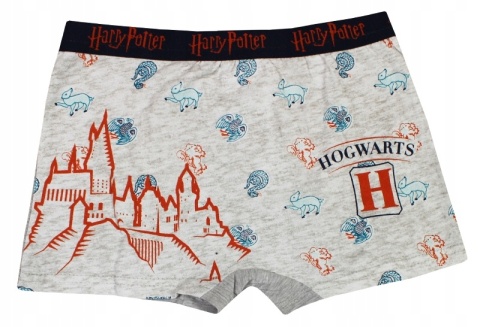 boskerki-harry-potter