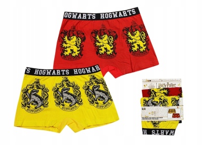 Bokserki dla chłopca 2-pak Harry Potter