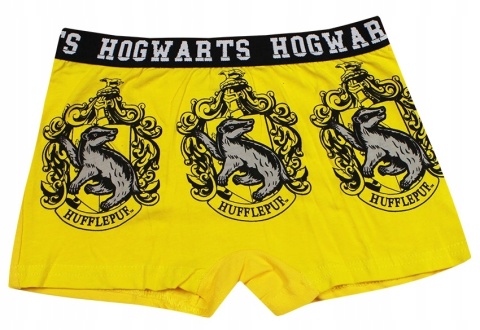 boskerki-harry-potter