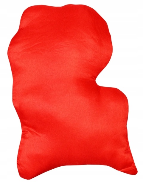 Poduszka dekoracyjna Miraculum Biedronka i Czarny Kot