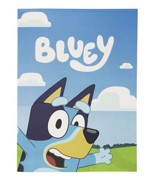 Piżama dziecięca Bluey i Bingo
