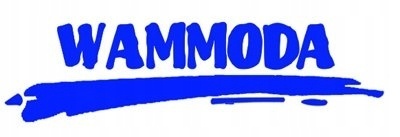 BATMAN DC OKULARY DLA DZIECKA PRZECIWSŁONECZNE CHŁOPIĘCE UV400