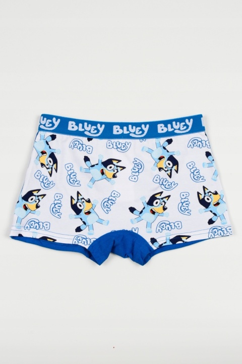 Bokserki BLUEY majtki chłopięce 2-pak oryginalne