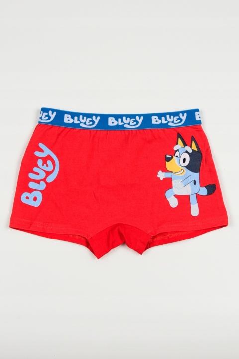 Bokserki BLUEY majtki chłopięce 2-pak oryginalne